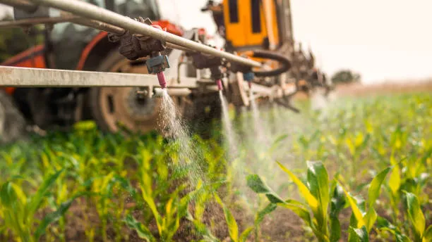 Aplicação de agrotoxicos nr 31