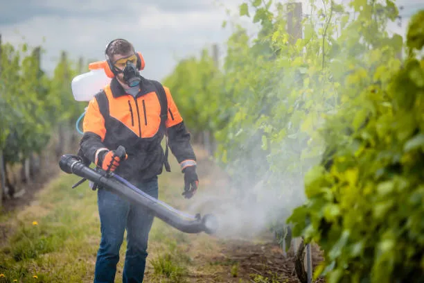 Nr 31 armazenamento de agrotóxicos